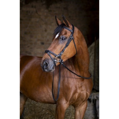 Cavalo castanho com peitoral de couro preto num estábulo