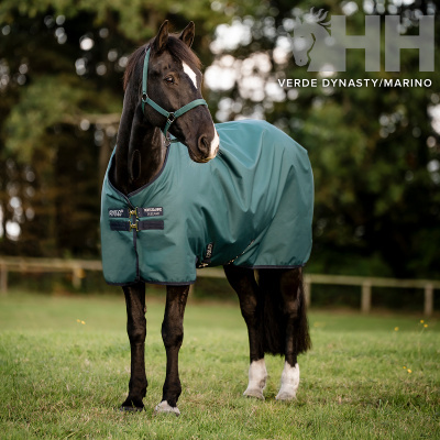 Cavalo preto com manta verde impermeável ao ar livre