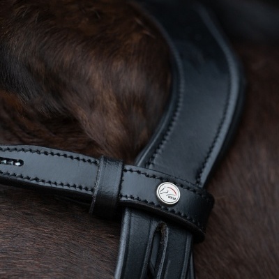 Correia de couro preta com botão metálico com a palavra 'Horse' fixada na pele de cavalo castanho escuro