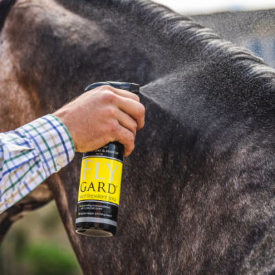Spray repelente FLY GARD aplicado em cavalo castanho