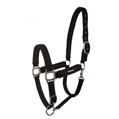 Cabresto para cavalo preto com almofadas acolchoadas e fivelas metálicas