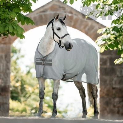 Cavalo branco com manta cinza com fechos e etiquetas em exterior com árvore e arco de pedra