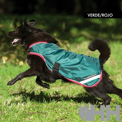 Cão preto a correr com casaco verde e vermelho para chuva