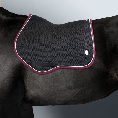 Manta de sela preta acolchoada com borda roxa num cavalo preto