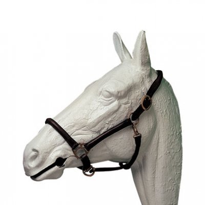 Cabeça decorativa branca de cavalo com peitoral de couro preto