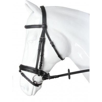 Cabresto preto em cavalo branco