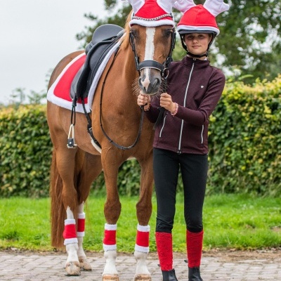Cavalo e jovem com roupa e acessórios natalícios vermelhos e brancos ao ar livre