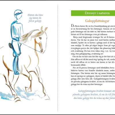 Ilustração de cavaleira montada num cavalo branco e texto em sueco sobre equitação