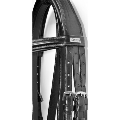 Cabresto de equitação de couro preto com fivelas