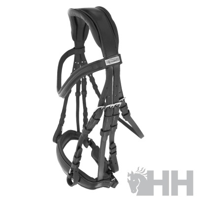 Bridão preto de couro com acolchoamento e fivelas de metal