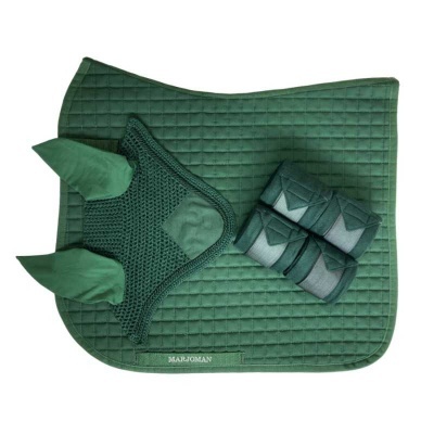 Conjunto verde para cavalo com manta acolchoada, touca com orelhas e banda para membros.