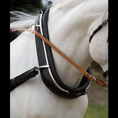 Cavalo branco com peitoral de couro preto e castanho e peças metálicas.