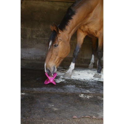 Cavalo castanho a brincar com brinquedo rosa em estabulo