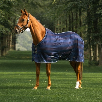 Cavalo castanho com manta azul e preta num campo verde rodeado por árvores