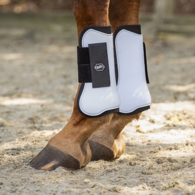 Pernilhas brancas de proteção para cavalo com detalhes pretos