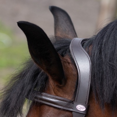 Cabeça de cavalo com arreio de pele castanho escuro