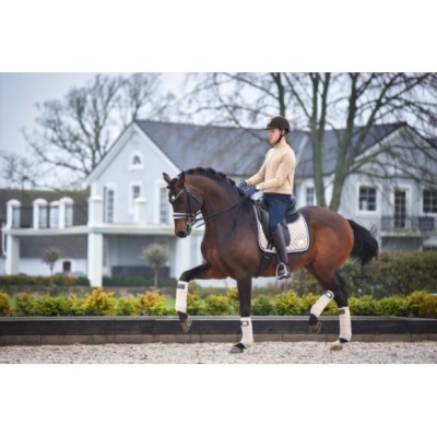 Cavaleiro em cavalo castanho equipado com materiais brancos e pretos numa arena ao ar livre.