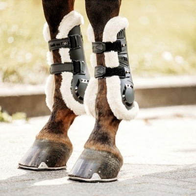 Proteção preta com forro branco nas pernas de cavalo, preso com tiras e fechos ajustáveis