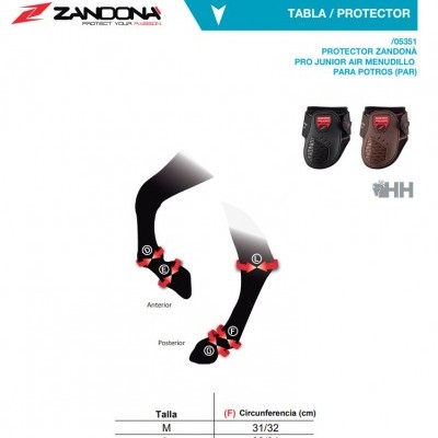 Protectores Zandona PRO JUNIOR AIR MENDULLO para potros, cores preta e castanha, tamanhos M e L com medida de circunferência.