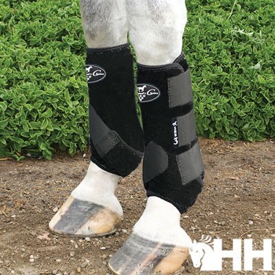 Pernas traseiras de cavalo com proteções pretas Horse & Care em chão de terra com vegetação verde.