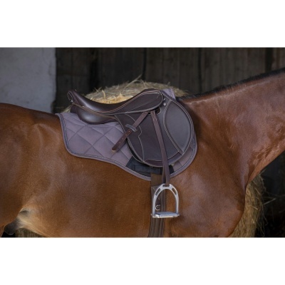 Sela castanha de equitação e manta cinzenta num cavalo castanho em estábulo.