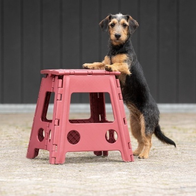 Banco plástico dobrável vermelho com cão apoiado