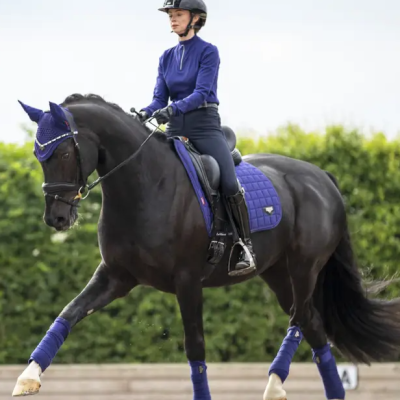 Cavalo preto com equipamento azul e cavaleira com capacete numa pista de equitação