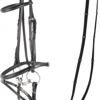 Freio completo para cavalo em couro preto com fivelas metálicas