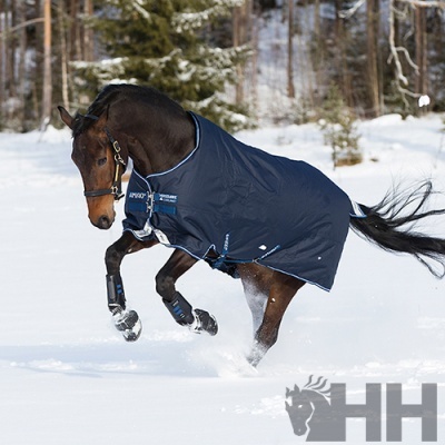 Cavalo com pelego azul escuro a correr na neve