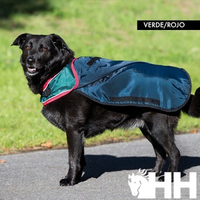 Cão preto com capa azul, verde e vermelho, ao ar livre em pavimento asfaltado com relva verde