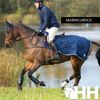 Cavalo com manta azul-marinho/bege e cavaleiro em campo junto a lago