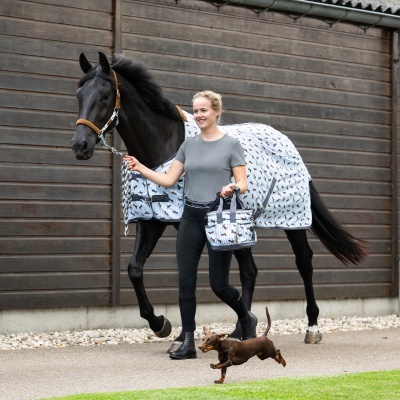 Pessoa com cavalo vestido com manta branca estampada e mala térmica com padrão igual, passeio ao ar livre com cão pequeno