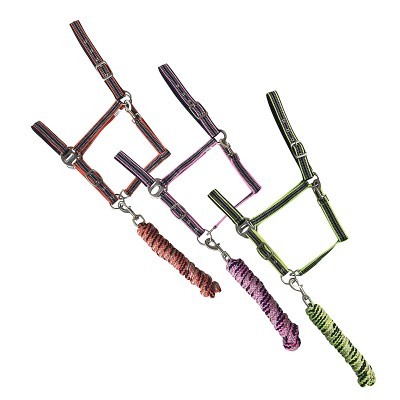 Três cabrestos coloridos com cordas para condução sobre fundo branco