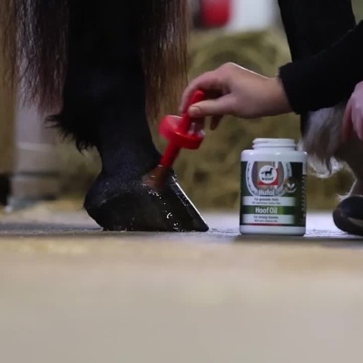 Pessoa aplicando óleo em casco de cavalo com pincel vermelho próximo a um frasco no chão