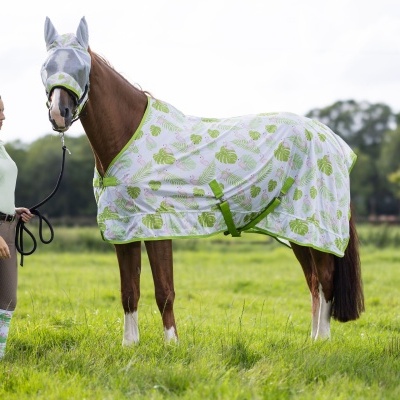 Cavalo com manta protetora branca e verde ao lado de mulher no campo