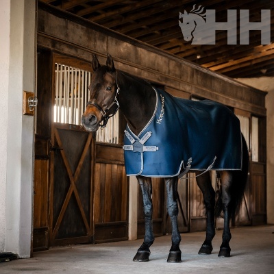Cavalo com manta azul HORSEWARE em estábulo de madeira