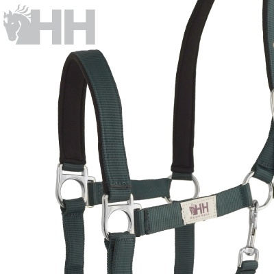 Cabeçada para cavalo verde escuro com detalhes pretos e argolas metálicas prateadas