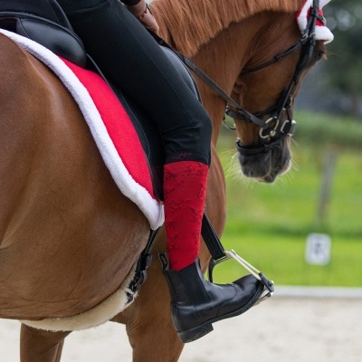 Cavalo castanho com sela preta e manta vermelha, cavaleiro com botas pretas e perneiras vermelhas