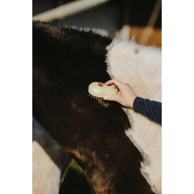 Pessoa a escovar a pelagem preta e branca de um cavalo com uma escova de cerdas naturais e cabo verde claro
