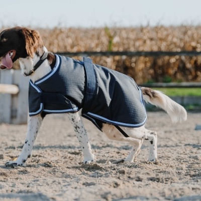 Cão com casaco azul escuro com bordas brancas em areia ao ar livre