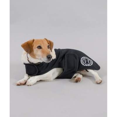 Cão pequeno a usar casaco preto com emblema 'H' e forro branco, sentado sobre fundo cinzento.