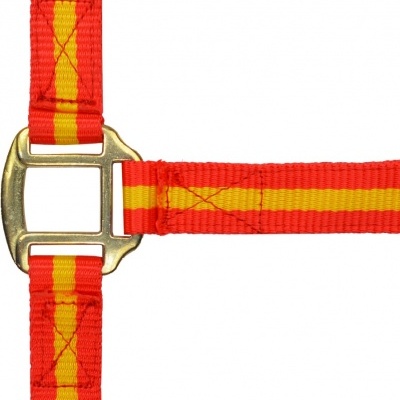 Cinta vermelha e amarela com fivela metálica dourada