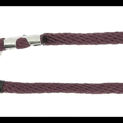 Guia para cão roxa com mosquetão metálico prateado