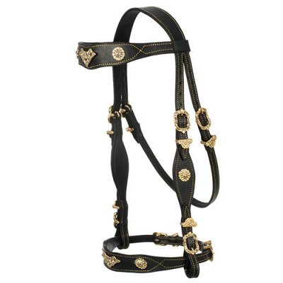 Caveção de equitação em couro preto com detalhes dourados