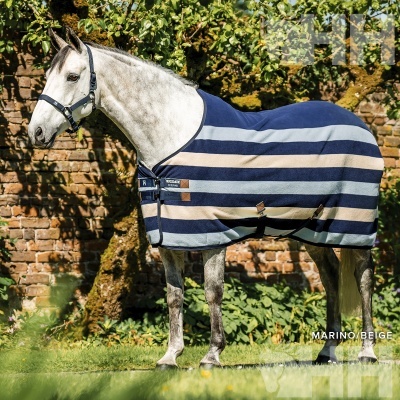 Cavalo cinzento com manta riscada azul-marinho, bege e azul claro, em jardim com árvore e muro de tijolos