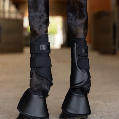 Pernas traseiras de cavalo com proteções pretas COVALIB