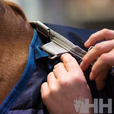 Coleira cinza ajustável e manta azul numa cavalo castanho com marcação HH