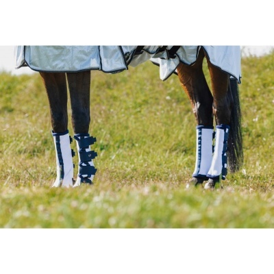 Cavalos com proteções brancas e azuis nas patas dianteiras num campo