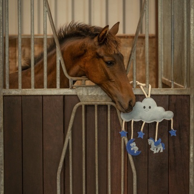 Cavalos num estábulo com pendente de nuvem cinzenta e estrelas azuis