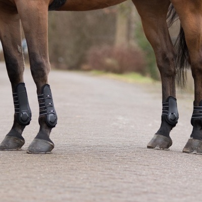 Pernas de cavalo com protetores pretos ajustados com tiras de velcro